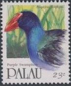 Purple Swamphen (Porphyrio porphyrio)