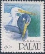 Pacific Reef Heron (Egretta sacra)
