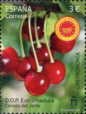 Jerte Cherries