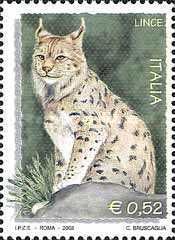 Eurasian Lynx (Lynx lynx)
