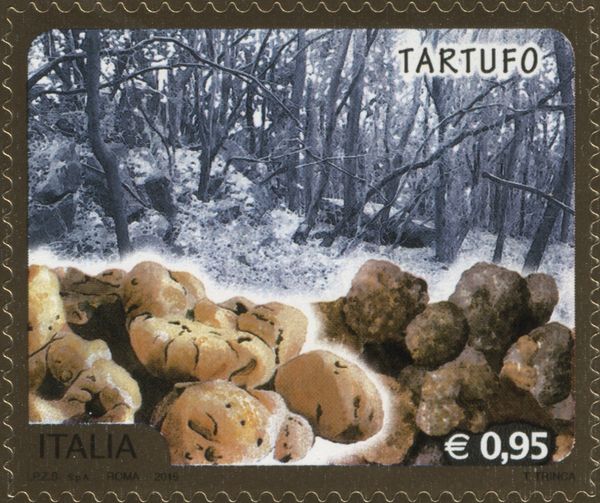 Truffles