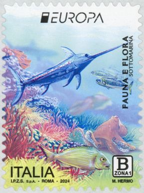 Sea Life Under Water including Swordfish