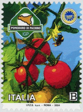 Pachino Tomatoes