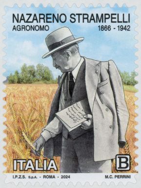 Nazareno Strampelli, Agronomist