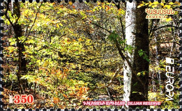 Dilijan Forest - Autumn Deciduous Forest