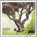 Year of Olive Oil and Olive Tree