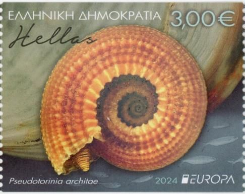 Pseudotorinia architae