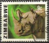 Black Rhinoceros (Diceros bicornis)