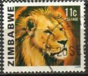 Lion (Panthera leo)