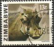 Common Warthog (Phacochoerus africanus)