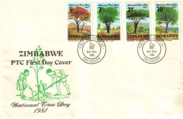 Mopane (Colophospermum mopane)