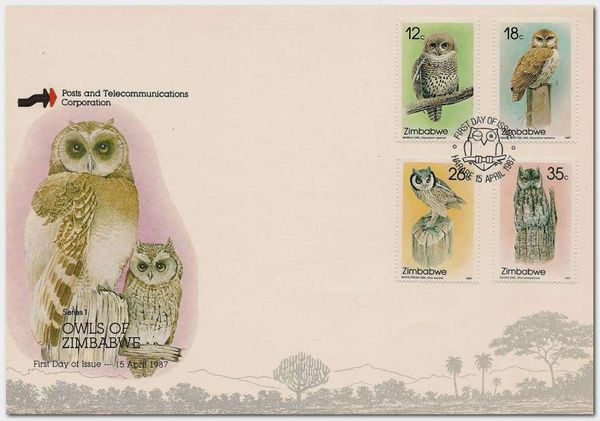 African Barred Owlet (Glaucidium capense)