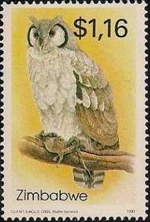Verreaux's Eagle-owl (Bubo lacteus)