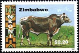 Nkoni bull