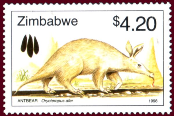 Aardvark (Orycteropus afer)