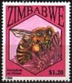Honeybee on flower