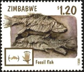 Fossil Fish