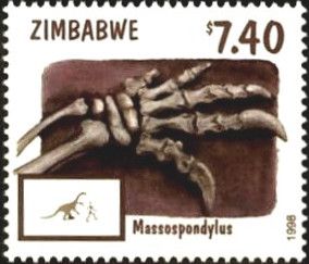 Foot Bones of Massospondylus