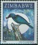 Lesser Blue-eared Glossy-Starling (Lamprotornis chloropterus