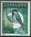 Miombo Tit (Parus griseiventris)