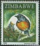 Swynnerton's Robin (Swynnertonia swynnertoni)