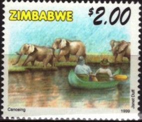Canoe safari