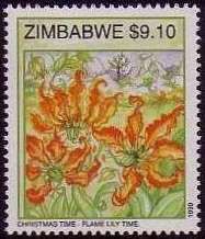 Flame lily