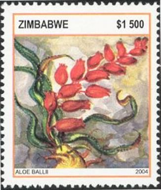Aloes - Aloe ballii