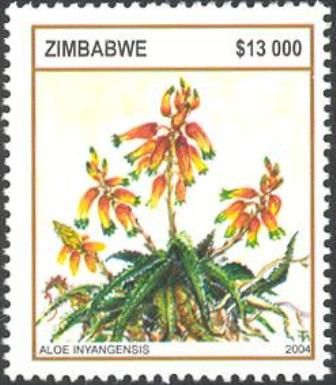 Aloes - Aloe inyangensis