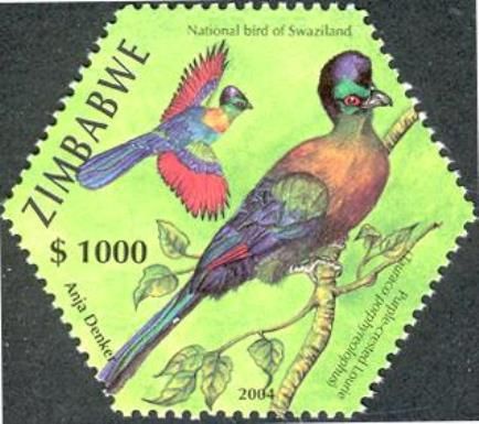 Purple-crested Turaco (Gallirex porphyreolophus)