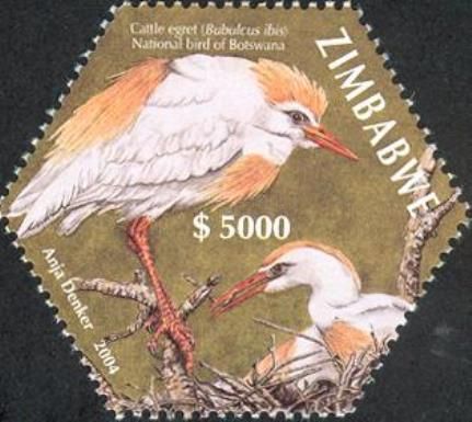Cattle Egret (Bubulcus ibis)