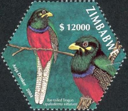 Bar-tailed Trogon (Apaloderma vittatum)