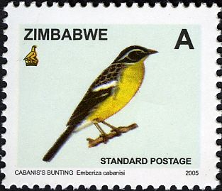 Cabanis's Bunting (Emberiza cabanisi)