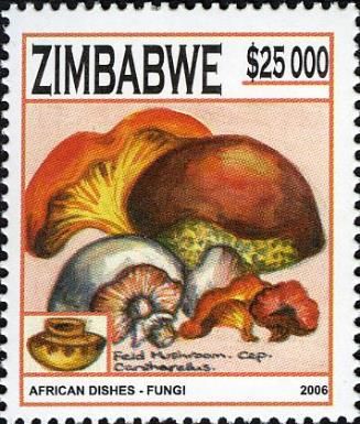 African dishes - Fungi