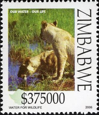 Lion (Panthera leo) at Waterhole