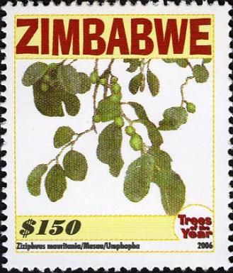 Trees of the Year - Ziziphuus mauritania