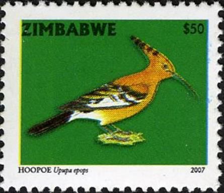 Eurasian Hoopoe (Upupa epops)
