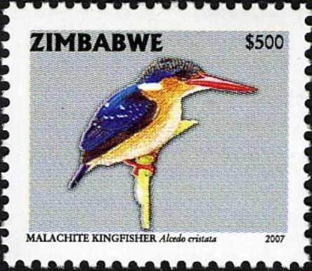 Malachite Kingfisher (Alcedo cristata)