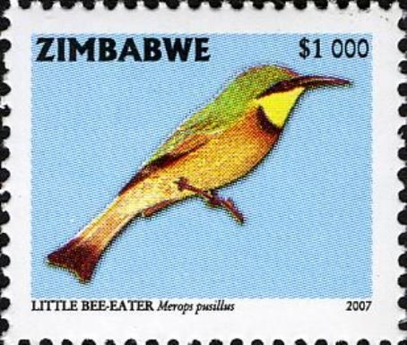 Little Bee-eater (Merops pusillus)