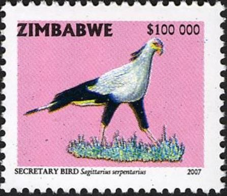 Secretary Bird (Sagittarius serpentarius)