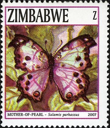 Forest Mother-of-Pearl (Salamis parhassus)