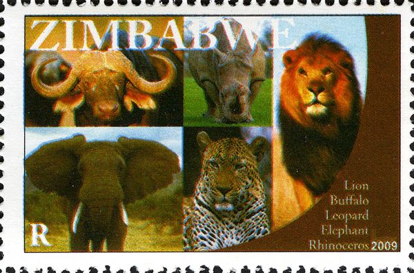 Elephant, Rhino, Buffalo, Lion, Leopard