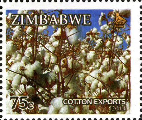 Cotton