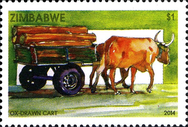 Ox Drawn Cart 1964