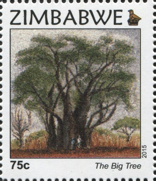The Big Tree