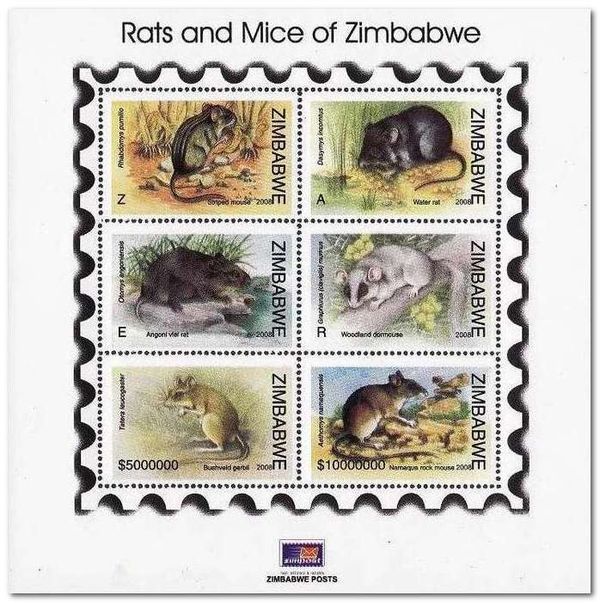 Rats and Mice of Zimbabwe