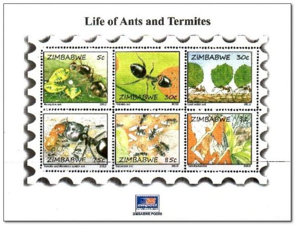 Life of Ants and Termites