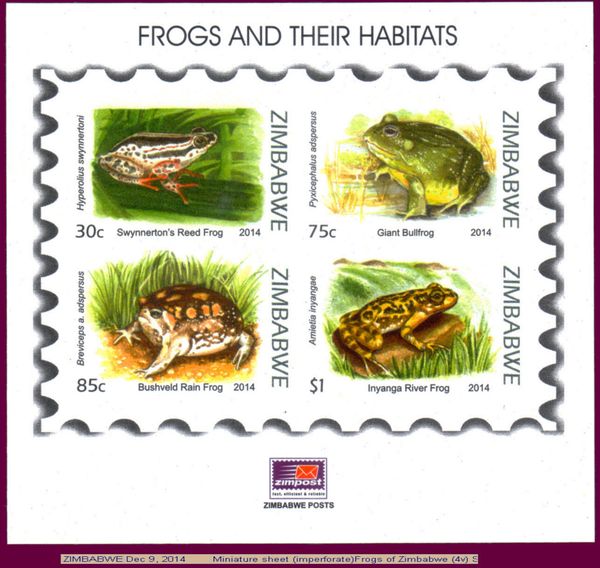 Frogs