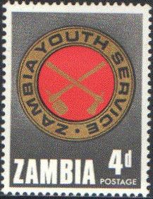 Youth Service Badge