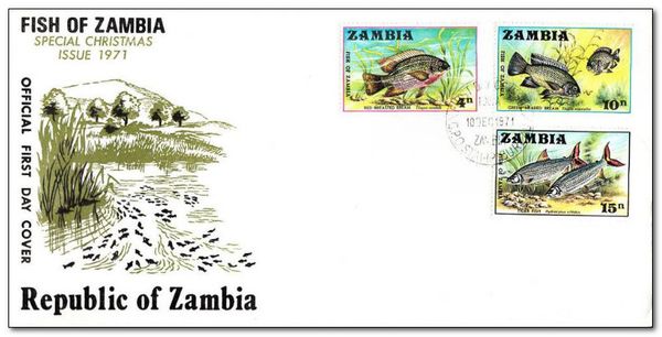 Greenhead Tilapia (Tilapia macrochir)